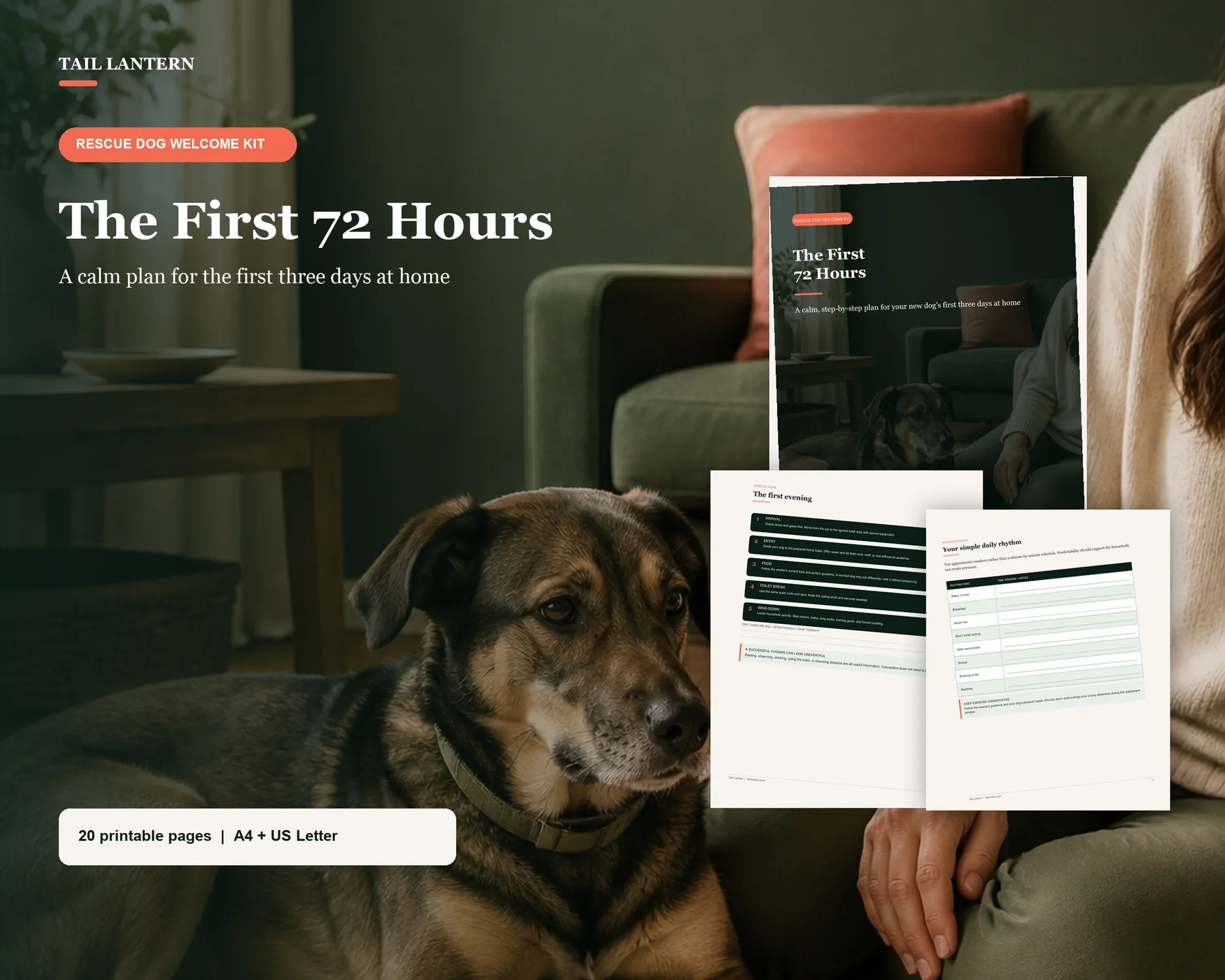 Rescue dog beside a seated person with digital calm-start guide and printable pages